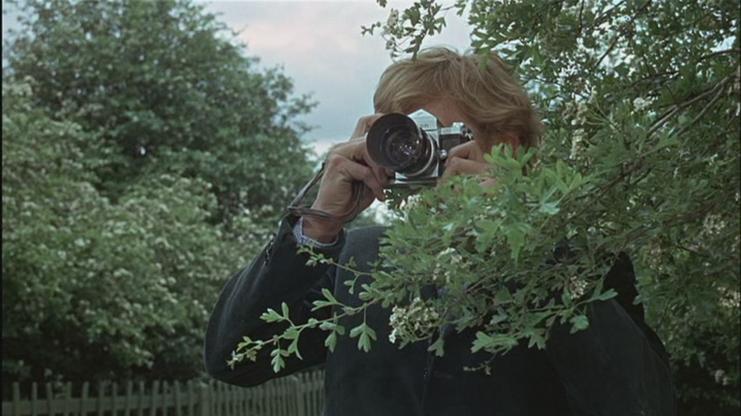 Man partially obscured by bush taking a photograph 