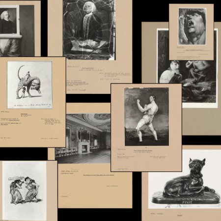 Grid of images from the PMC Photo Archive